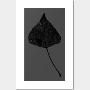 Leaf skeleton Posters and Art